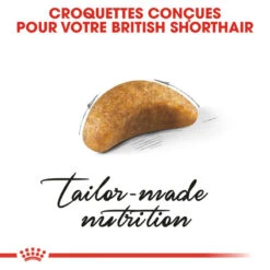 ROYAL CANIN British Shorthair Kitten 2kg -Royal Croquettes Promos Magasin fre pl ROYAL CANIN British Shorthair Kitten 2kg 16882 3