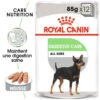 ROYAL CANIN CCN Digestive Care Pâté 12x85g -Royal Croquettes Promos Magasin fre pl ROYAL CANIN CCN Digestive Care Pate 12x85g 10093 1