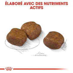 ROYAL CANIN CCN Maxi Dental Care 3kg -Royal Croquettes Promos Magasin fre pl ROYAL CANIN CCN Maxi Dental Care 3kg 16271 1