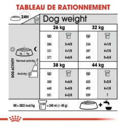 ROYAL CANIN CCN Maxi Dental Care 9kg -Royal Croquettes Promos Magasin fre pl ROYAL CANIN CCN Maxi Dental Care 9kg 10068 6