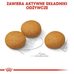 ROYAL CANIN CCN Maxi Dermacomfort 12kg Croquettes Pour Chiens Adultes, Grandes Races, à La Peau Sensible Et Sujette Aux Irritations. -Royal Croquettes Promos Magasin fre pl ROYAL CANIN CCN Maxi Dermacomfort 12kg croquettes pour chiens adultes grandes races a la peau sensible et sujette aux irritations 25933 5