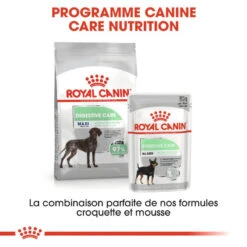 ROYAL CANIN CCN Maxi Digestive Care 3kg -Royal Croquettes Promos Magasin fre pl ROYAL CANIN CCN Maxi Digestive Care 3kg 10070 6