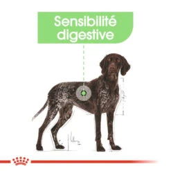 ROYAL CANIN CCN Maxi Digestive Care 3kg -Royal Croquettes Promos Magasin fre pl ROYAL CANIN CCN Maxi Digestive Care 3kg 10070 7