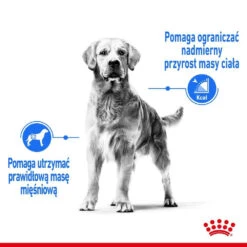 ROYAL CANIN CCN Maxi Light Weight Care 12kg -Royal Croquettes Promos Magasin fre pl ROYAL CANIN CCN Maxi Light Weight Care 12kg 25857 4