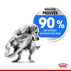ROYAL CANIN CCN Maxi Light Weight Care 3kg -Royal Croquettes Promos Magasin fre pl ROYAL CANIN CCN Maxi Light Weight Care 3kg 10055 6