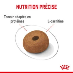 ROYAL CANIN CCN Maxi Light Weight Care 3kg -Royal Croquettes Promos Magasin fre pl ROYAL CANIN CCN Maxi Light Weight Care 3kg 10055 8