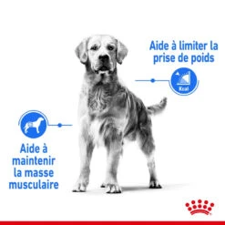 ROYAL CANIN CCN Maxi Light Weight Care 3kg -Royal Croquettes Promos Magasin fre pl ROYAL CANIN CCN Maxi Light Weight Care 3kg 10055 9