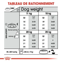 ROYAL CANIN CCN Medium Dental Care 10kg -Royal Croquettes Promos Magasin fre pl ROYAL CANIN CCN Medium Dental Care 10kg 10074 6