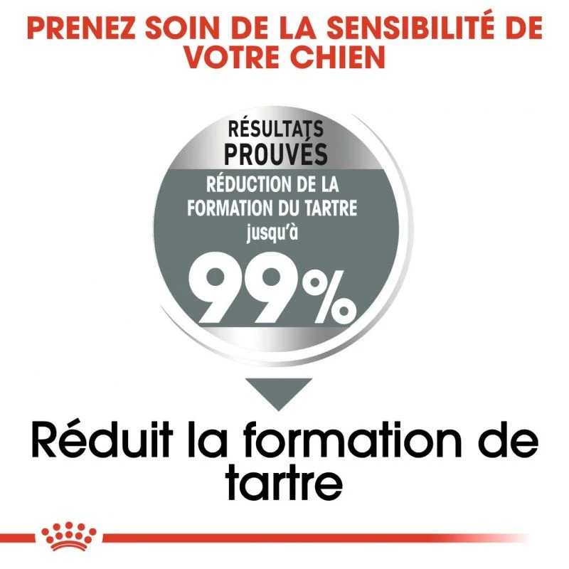 ROYAL CANIN CCN Medium Dental Care 3kg X2 4 ROYAL CANIN CCN Medium Dental Care 3kg X2 – Image 2