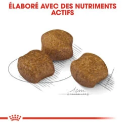 ROYAL CANIN CCN Medium Dental Care 3kg X2 11 ROYAL CANIN CCN Medium Dental Care 3kg X2 -Royal Croquettes Promos Magasin fre pl ROYAL CANIN CCN Medium Dental Care 3kg x2 30590 5