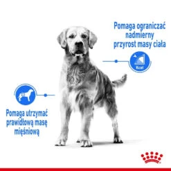 ROYAL CANIN CCN Medium Light Weight Care 12kg Nourriture Sèche Pour Chiens Adultes, Races Moyennes Sujettes à L'embonpoint -Royal Croquettes Promos Magasin fre pl ROYAL CANIN CCN Medium Light Weight Care 12kg nourriture seche pour chiens adultes races moyennes sujettes a lembonpoint 26050 4