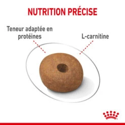 ROYAL CANIN CCN Medium Light Weight Care 3kg 11 ROYAL CANIN CCN Medium Light Weight Care 3kg -Royal Croquettes Promos Magasin fre pl ROYAL CANIN CCN Medium Light Weight Care 3kg 10066 4