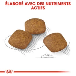 ROYAL CANIN CCN Medium Relax Care 1kg -Royal Croquettes Promos Magasin fre pl ROYAL CANIN CCN Medium Relax Care 1kg 16278 4
