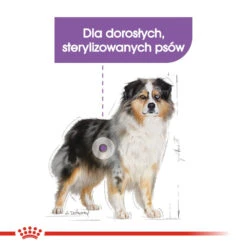 ROYAL CANIN CCN Medium Sterilised 12kg Nourriture Sèche Pour Chiens Adultes, Race Moyenne, Stérilisée 10 ROYAL CANIN CCN Medium Sterilised 12kg Nourriture Sèche Pour Chiens Adultes, Race Moyenne, Stérilisée -Royal Croquettes Promos Magasin fre pl ROYAL CANIN CCN Medium Sterilised 12kg nourriture seche pour chiens adultes race moyenne sterilisee 25931 3