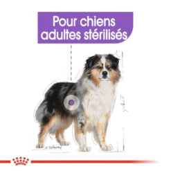 ROYAL CANIN CCN Medium Sterilised 3kg -Royal Croquettes Promos Magasin fre pl ROYAL CANIN CCN Medium Sterilised 3kg 10078 5
