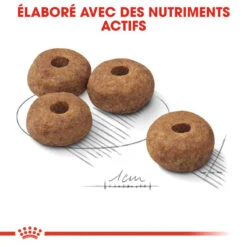 ROYAL CANIN CCN Medium Sterilised 3kg X2 -Royal Croquettes Promos Magasin fre pl ROYAL CANIN CCN Medium Sterilised 3kg x2 30718 7