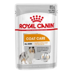 ROYAL CANIN CCN Mini Coat Care 8kg -Royal Croquettes Promos Magasin fre pl ROYAL CANIN CCN Mini Coat Care 8kg 10079 4