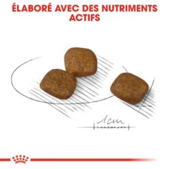 ROYAL CANIN CCN Mini Coat Care 8kg -Royal Croquettes Promos Magasin fre pl ROYAL CANIN CCN Mini Coat Care 8kg 10079 5