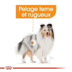 ROYAL CANIN CCN Mini Coat Care 8kg -Royal Croquettes Promos Magasin fre pl ROYAL CANIN CCN Mini Coat Care 8kg 10079 6