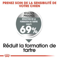 ROYAL CANIN CCN Mini Dental Care 8kg + Hector Gratuit 13 ROYAL CANIN CCN Mini Dental Care 8kg + Hector Gratuit -Royal Croquettes Promos Magasin fre pl ROYAL CANIN CCN Mini Dental Care 8kg hector gratuit 29934 7
