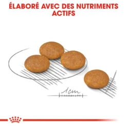 ROYAL CANIN CCN Mini Dermacomfort 1kg + OVER ZOO Délicatesse 100g 10 ROYAL CANIN CCN Mini Dermacomfort 1kg + OVER ZOO Délicatesse 100g -Royal Croquettes Promos Magasin fre pl ROYAL CANIN CCN Mini Dermacomfort 1kg OVER ZOO Delicatesse 100g 30805 2