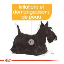 ROYAL CANIN CCN Mini Dermacomfort 1kg + OVER ZOO Délicatesse 100g 12 ROYAL CANIN CCN Mini Dermacomfort 1kg + OVER ZOO Délicatesse 100g -Royal Croquettes Promos Magasin fre pl ROYAL CANIN CCN Mini Dermacomfort 1kg OVER ZOO Delicatesse 100g 30805 8