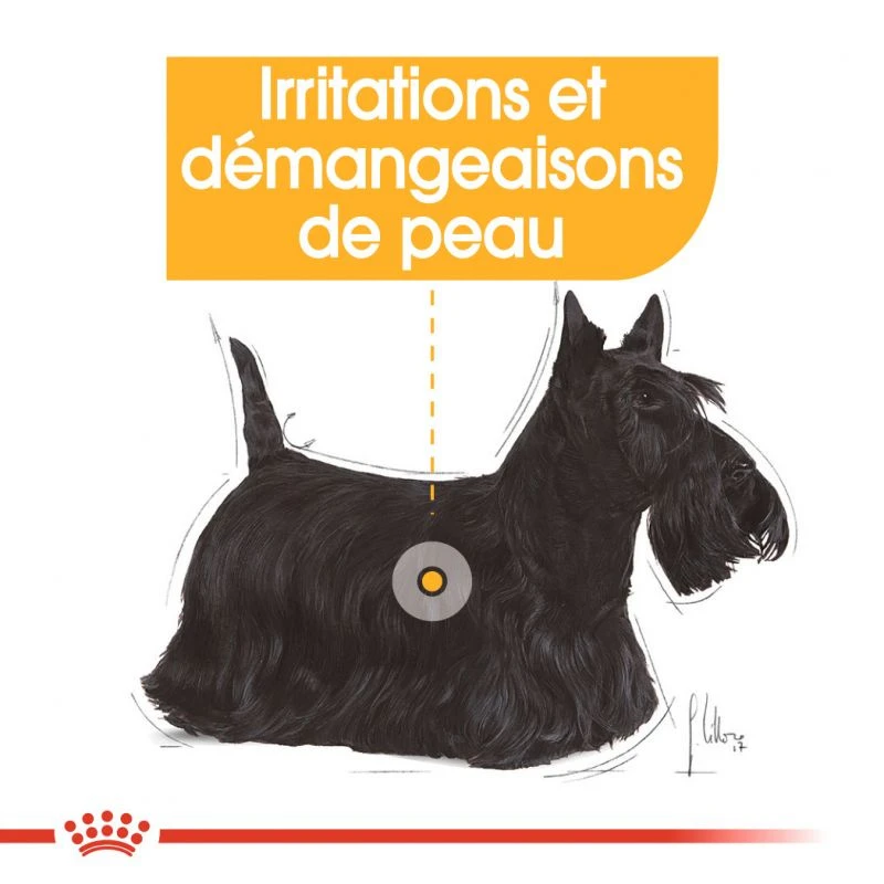 ROYAL CANIN CCN Mini Dermacomfort 3kg + OVER ZOO Délicatesse 100g GRATUIT 7 ROYAL CANIN CCN Mini Dermacomfort 3kg + OVER ZOO Délicatesse 100g GRATUIT – Image 5