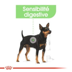 ROYAL CANIN CCN Mini Digestive Care 3kg -Royal Croquettes Promos Magasin fre pl ROYAL CANIN CCN Mini Digestive Care 3kg 16288 7
