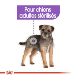 ROYAL CANIN CCN Mini Sterilised 3kg -Royal Croquettes Promos Magasin fre pl ROYAL CANIN CCN Mini Sterilised 3kg 16293 7