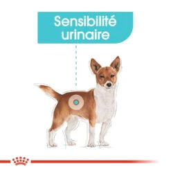ROYAL CANIN CCN Mini Urinary Care 8kg -Royal Croquettes Promos Magasin fre pl ROYAL CANIN CCN Mini Urinary Care 8kg 10085 2
