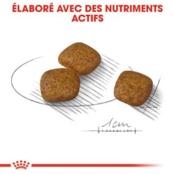 ROYAL CANIN CCN Mini Urinary Care 8kg -Royal Croquettes Promos Magasin fre pl ROYAL CANIN CCN Mini Urinary Care 8kg 10085 4
