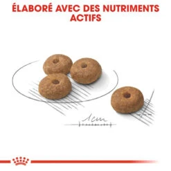 ROYAL CANIN CCN Sterilised Mini 1kg 10 ROYAL CANIN CCN Sterilised Mini 1kg -Royal Croquettes Promos Magasin fre pl ROYAL CANIN CCN Sterilised Mini 1kg 10084 10