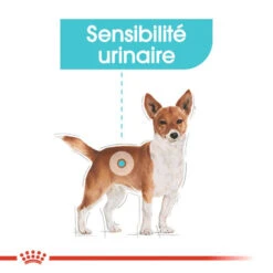 ROYAL CANIN CCN Urinary Care Pâté 12x85g 11 ROYAL CANIN CCN Urinary Care Pâté 12x85g -Royal Croquettes Promos Magasin fre pl ROYAL CANIN CCN Urinary Care pate 12x85g 10087 4