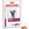 ROYAL CANIN Cat Renal 12x85g -Royal Croquettes Promos Magasin fre pl ROYAL CANIN Cat Renal 12x85g 12956 1