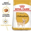 ROYAL CANIN Chihuahua Adult 1,5kg -Royal Croquettes Promos Magasin fre pl ROYAL CANIN Chihuahua Adult 1 5kg 15967 1