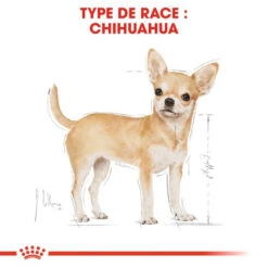 ROYAL CANIN Chihuahua Adult 1,5kg 11 ROYAL CANIN Chihuahua Adult 1,5kg -Royal Croquettes Promos Magasin fre pl ROYAL CANIN Chihuahua Adult 1 5kg 15967 3