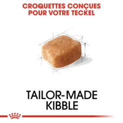 ROYAL CANIN Dachshund Adult 1,5kg 11 ROYAL CANIN Dachshund Adult 1,5kg -Royal Croquettes Promos Magasin fre pl ROYAL CANIN Dachshund Adult 1 5kg 15974 8