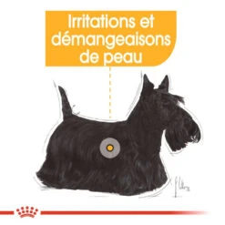 ROYAL CANIN Dermacomfort Pâté 12x85g -Royal Croquettes Promos Magasin fre pl ROYAL CANIN Dermacomfort Pate 12x85g 10092 4