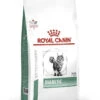 ROYAL CANIN Diabetic 1,5kg 1 ROYAL CANIN Diabetic 1,5kg -Royal Croquettes Promos Magasin fre pl ROYAL CANIN Diabetic 1 5kg 9164 4