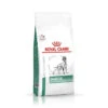 ROYAL CANIN Diabetic 12kg -Royal Croquettes Promos Magasin fre pl ROYAL CANIN Diabetic 12kg 16770 4