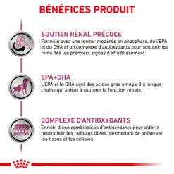 ROYAL CANIN Early Renal 7kg -Royal Croquettes Promos Magasin fre pl ROYAL CANIN Early Renal 7kg 12976 1