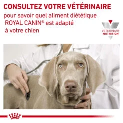 ROYAL CANIN Early Renal 7kg -Royal Croquettes Promos Magasin fre pl ROYAL CANIN Early Renal 7kg 12976 3