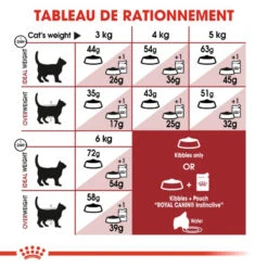 ROYAL CANIN Fit 32 10kg 12 ROYAL CANIN Fit 32 10kg -Royal Croquettes Promos Magasin fre pl ROYAL CANIN Fit 32 10kg 15994 5