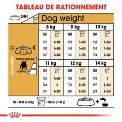 ROYAL CANIN French Bulldog Adult 3kg 12 ROYAL CANIN French Bulldog Adult 3kg -Royal Croquettes Promos Magasin fre pl ROYAL CANIN French Bulldog Adult 3kg 16844 1