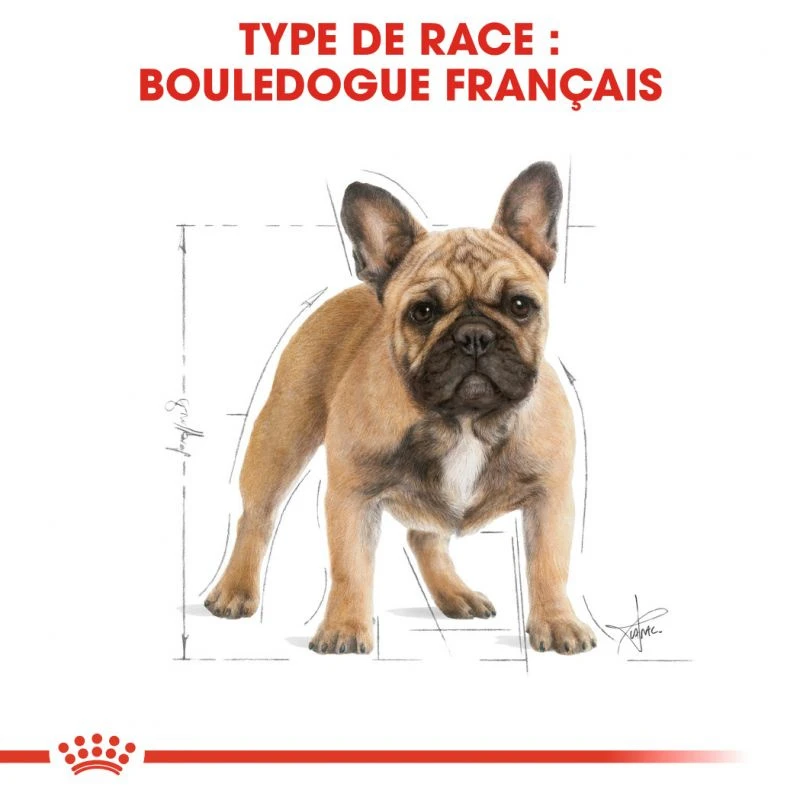 ROYAL CANIN French Bulldog Adult 3kg 5 ROYAL CANIN French Bulldog Adult 3kg – Image 3
