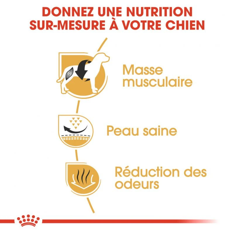 ROYAL CANIN French Bulldog Adult 3kg 4 ROYAL CANIN French Bulldog Adult 3kg – Image 2