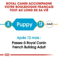 ROYAL CANIN French Bulldog Puppy 10kg -Royal Croquettes Promos Magasin fre pl ROYAL CANIN French Bulldog Puppy 10kg 15978 3