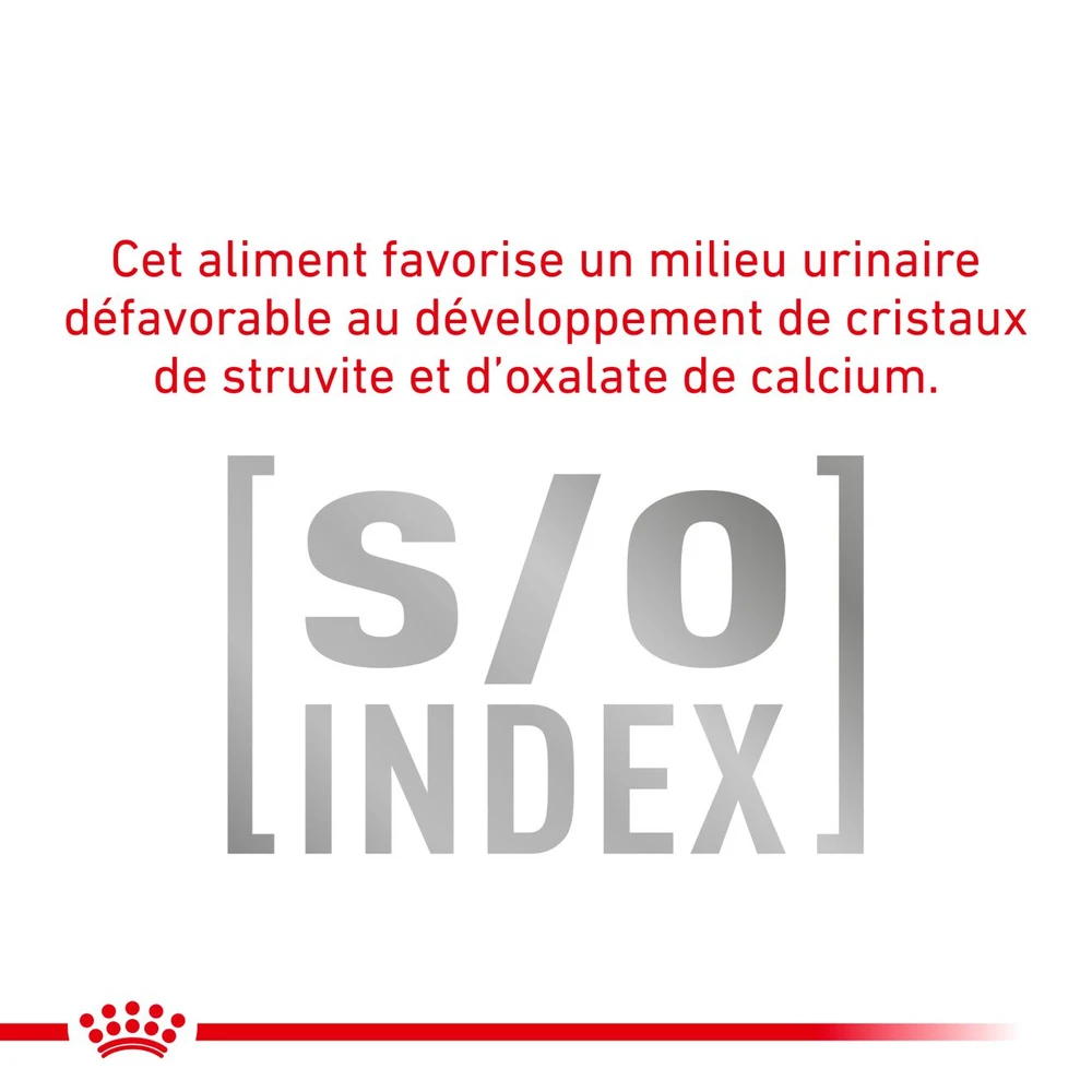 ROYAL CANIN Gastrointestinal 12x85g 7 ROYAL CANIN Gastrointestinal 12x85g – Image 5