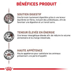 ROYAL CANIN Gastrointestinal 12x85g 9 ROYAL CANIN Gastrointestinal 12x85g -Royal Croquettes Promos Magasin fre pl ROYAL CANIN Gastrointestinal 12x85g 12321 3