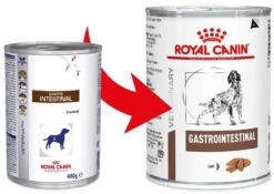 ROYAL CANIN Gastrointestinal 400g X12 -Royal Croquettes Promos Magasin fre pl ROYAL CANIN Gastrointestinal 400g x12 30664 1